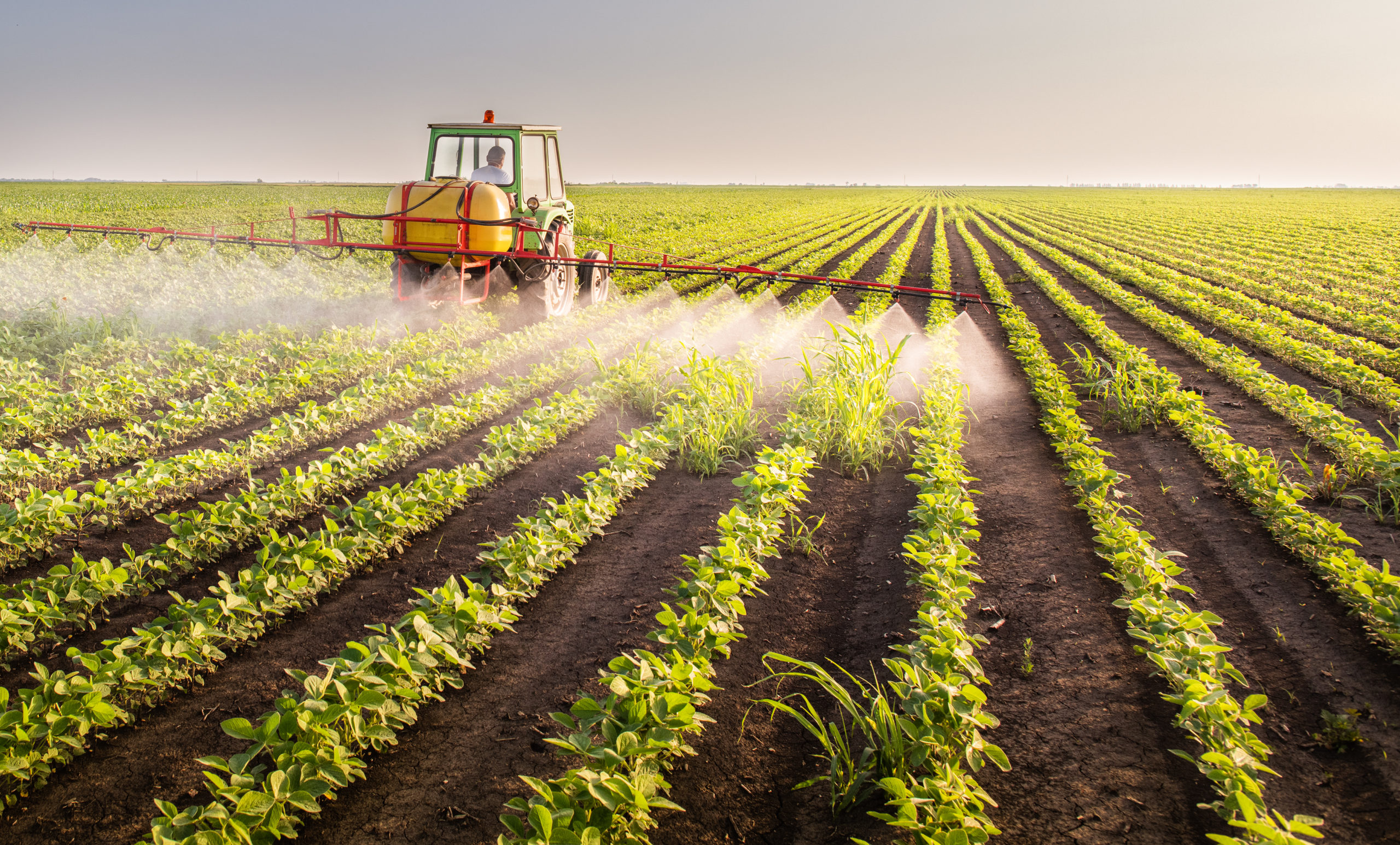 farmer spraying crops in a field