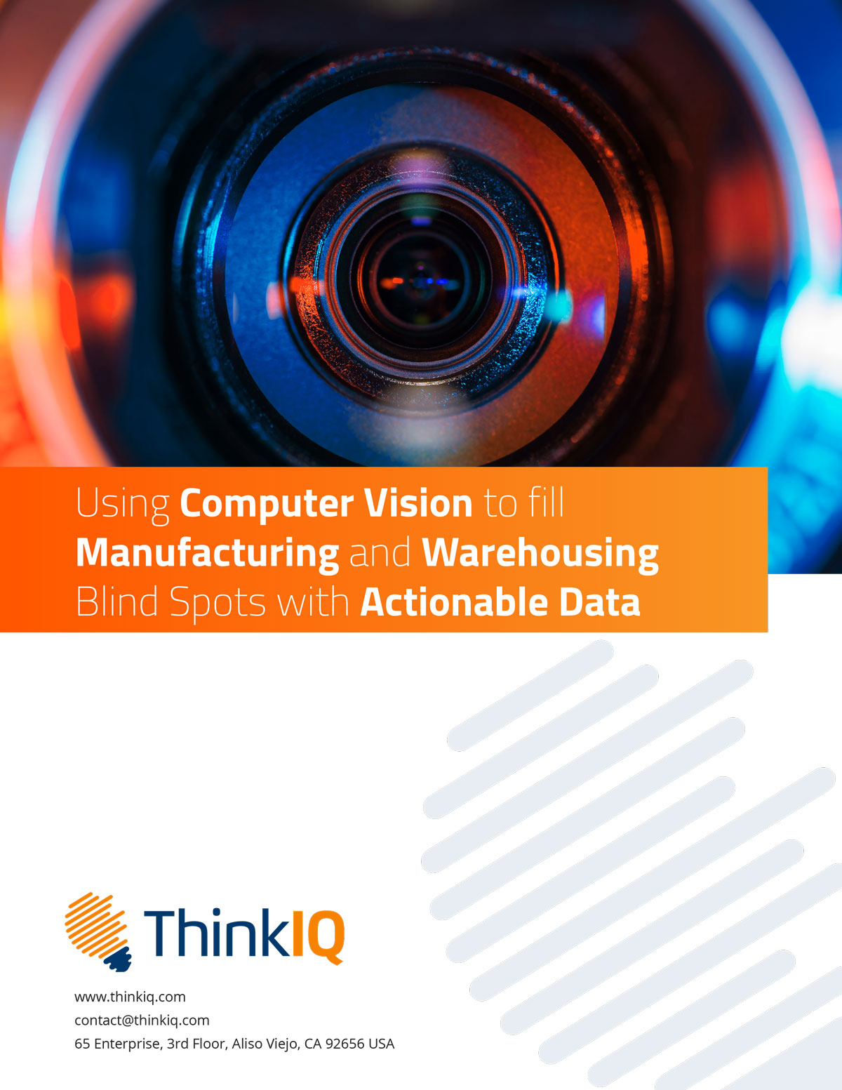 ThinkIQ Vision ebook cover